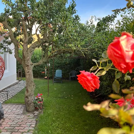 Апартаменты Rose With Garden & Free Parking *