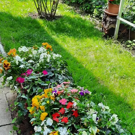 Apartment Rose Apartment With Garden & Free Parking *