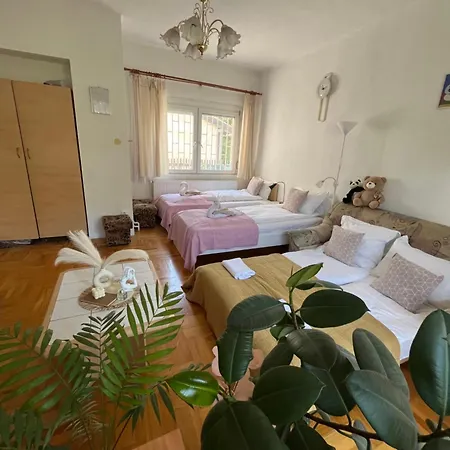 Rose Apartment With Garden & Free Parking