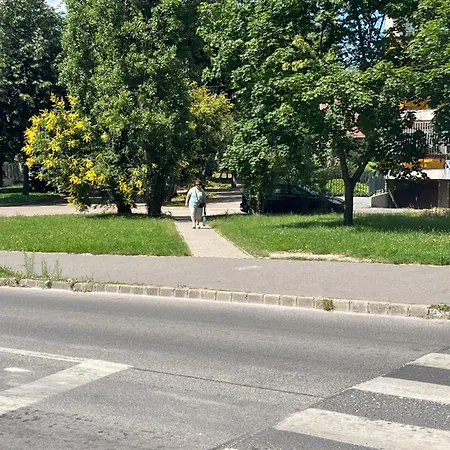 Apartment Rose With Garden & Free Parking Budapest